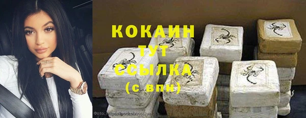 PSILOCYBIN Алзамай