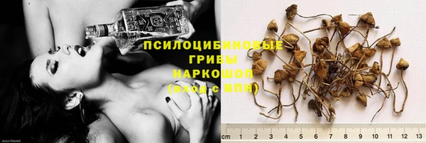 PSILOCYBIN Алзамай