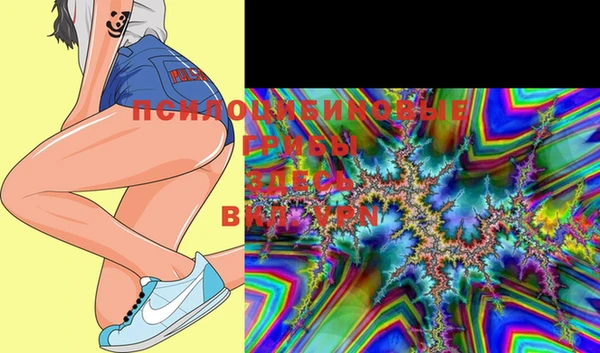 PSILOCYBIN Алзамай