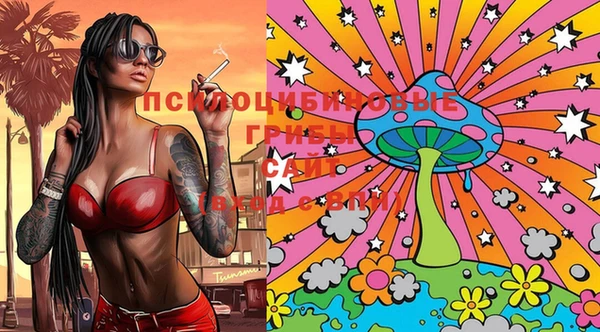PSILOCYBIN Алзамай