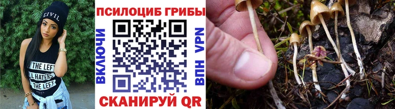 mega ССЫЛКА  Сибай  Псилоцибиновые грибы мухоморы 