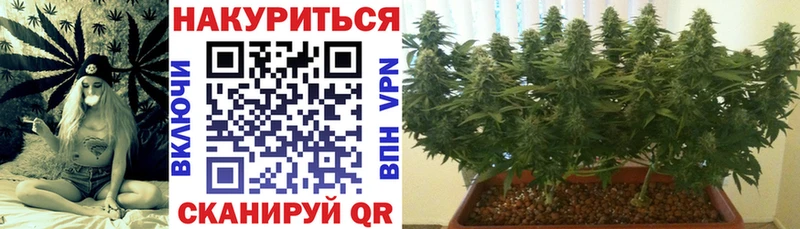 хочу наркоту  Сибай  Бошки марихуана гибрид 